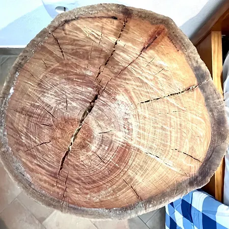 Appartement Refugio Da Ria By Algartur *